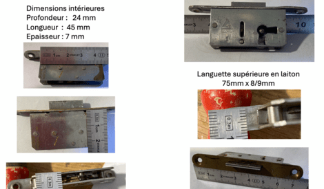 serrure motorisée bigsur