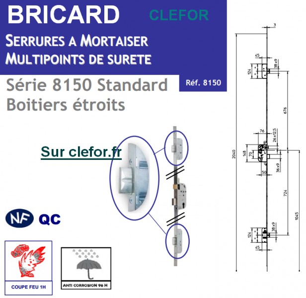 serrure portail bricard